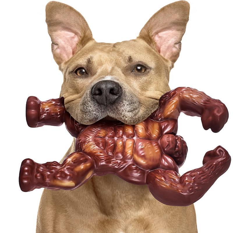 Dog Molar Nibbling Nylon Beef Flavor Toy