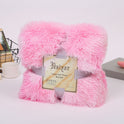 Thickened Autumn And Winter Blanket Double-sided Velvet Gift Blanket