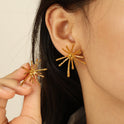 Fireworks Korean Style Niche Designer Stud Earrings