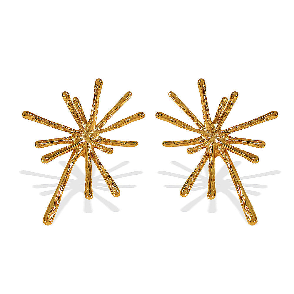 Fireworks Korean Style Niche Designer Stud Earrings