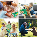 Dog Plush Sounding Chew Toy Durable Plush Toy Chew Dog Toys With Squeaker Soft Interactive Dinosaur Shape Pet Plush Toys For