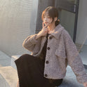 Lamb Wool Coat Women's Short Autumn And Winter Loose Plush Top Thickened