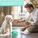 Pet Dog Toy Ball Cat Toy Outdoor Bite-resistant Puzzle Anti-choking Molar Cleaning Food-grade Silicone Leaking Food Ball