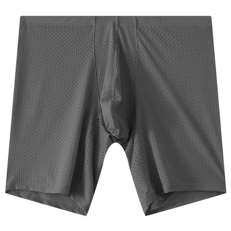 Men's Mesh Underwear Transparent Lengthened Sport Boxer