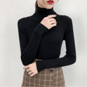 All-match Solid Color Slim Slimming Turtleneck High-neck Warm Long-