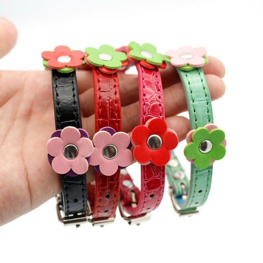 Small Dog And Cat Collars Cross Border Pets