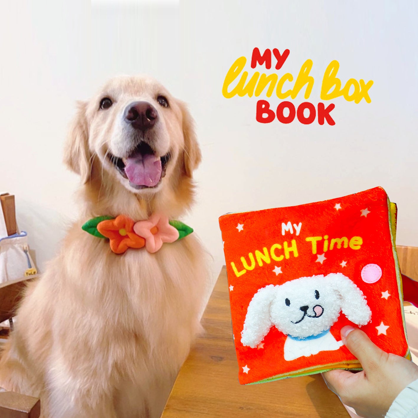 Food Leakage Smell Sound Looking For Hidden Food Books Pet Toys