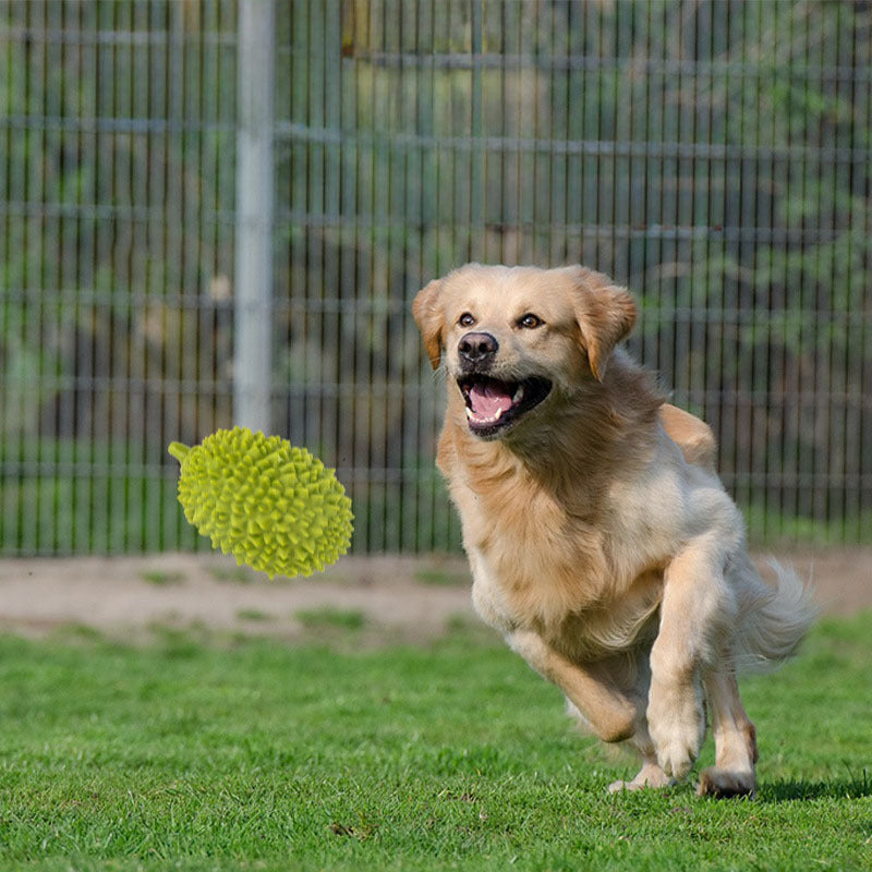 Durian-shaped Chewing Toys For Dogs Squeaky Toys Beautiful Fruits Tooth Cleaning And Training For Puppies Small And Medium Pets