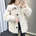 Thickened Warm Leather Plush Top Autumn And Winter New Korean Style Loose Short Coat Women