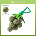 Creative New Catnip Toys, Peppermint Grape Skewers, Cat Sticks, Teething And Bite Resistant Gall Fruit Cat Toys