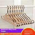 Bold Aluminum Alloy Multifunctional Hanger