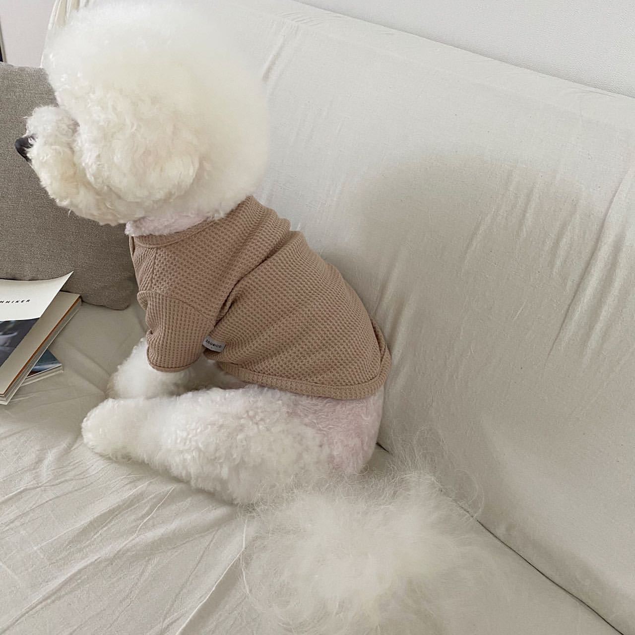 All-match Bottoming Shirt Dog Cat Teddy Bichon